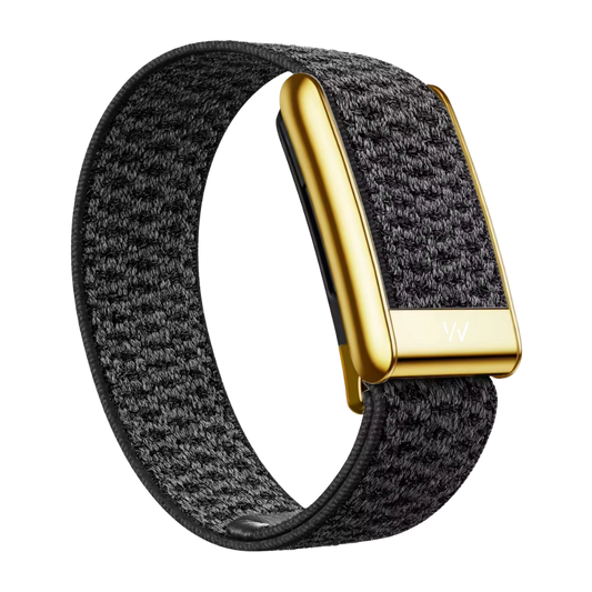 Premium Gold & Silver Case Velcro Woven Band for WHOOP 5.0 – Adjustable Sports Strap